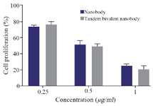 <p>Figure 8. The antiproliferative activity of nanobody and tandem bivalent nanobody on HUVEC cells.</p>