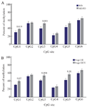 <p>Figure 5. Comparison of grade- and stage-dependent <em>TGM-3</em> promoter methylation in patients. Analysis of BSP amplification of the <em>TGM-3</em> promoter showed that there was a statistically significant difference in (A) methylation level of CpG1 and CpG3 in moderately/poorly differentiated (MD/PD) and well differentiated (WD) tumor grades and (B) methylation level of CpG1, CpG3 and CpG5 in tumor stage III/IV and stage I/II patients. p&lt;0.05 was considered statistically significant</p>