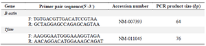 <p>Table 1. List of primer</p>