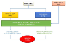 <p>Figure 1. Methodology workflow used in the study.</p>