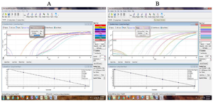 <p>Figure 5. A) Analysis of TaqMan real-time PCR of <em>fopA </em>gene of <em>F. tularensis </em>using Corbett Rotor-Gene 6000. A serial dilution from 100 <em>pg</em> to 0.1 <em>pg</em> of plasmid was examined. B) Analysis of TaqMan real-time PCR of <em>Ebola</em> virus using Corbett Rotor-Gene 6000. A serial dilution from 100 <em>pg</em> to 0.1 <em>pg</em> of plasmid was examined.</p>