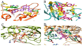 <p>Figure 1. Affinity of top scoring medicinal herbal compounds to inhibit the S protein, 3CLpro, RdRp, and N protein. A) the interaction between Amentoflavone from <em>Hypericum perforatum</em> (Purple) and S protein (Orange red); B) the interaction between Linarin from <em>Chrysanthemum morifolium</em> (Deep pink) and N protein (Light sea green); C) the interaction between Amentoflavone from <em>Hypericum perforatum</em> (Orang) and 3CLpro (Olive drab); D) the interaction between Amentoflavone from <em>Hypericum perforatum</em> (Violet red) and RdRp (Sandy brown).</p>