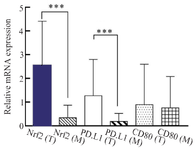 <p>Figure 1. The mRNA expression level of Nrf2, PD-L1, and CD80 in the tumor (T) and margin (M) tissues of colon cancer patients. Nrf2 and PD-L1 were significantly overexpressed in tumor tissues in comparison to margin ones (p&lt;0.001). There were not any significant differences in CD80 mRNA expression between tumor and margin tissues. The results were gathered at least from three independent experiments and finally expressed as mean&plusmn;SD. *** p&lt;0.001.</p>