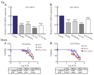 <p>Figure 3. Up) the impact of Nrf2 siRNA on Nrf2 and PD-L1 expressions. Sensitive (SW480 and LS174T) and resistant (SW480/Res and LS174T/Res) colon cancer cells were transfected with Nrf2 siRNA (80 <em>pmol</em>) for 48 <em>hr</em>. The results were gathered at least from three independent experiments and finally expressed as mean&plusmn;SD. *** p&lt;0.001. Down) the impact of Nrf2 siRNA on oxaliplatin efficacy in resistant colon cancer cells. SW480 and LS174T resistant colon cancer cells were transfected with Nrf2 siRNA (80 <em>pmol</em>) which was also followed by different oxaliplatin concentrations for 48 <em>hr</em>. The impacts of Nrf2 siRNA on oxaliplatin induced cytotoxicity in SW480/Res (A) and of LS174T/Res (B) cells.</p>