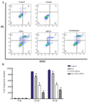 <p>Figure 4. A) the impact of Nrf2 siRNA on oxaliplatin-induced apoptosis in resistant SW480 colon cancer cells. SW480 resistant colon cancer cells were transfected with Nrf2 siRNA (Nrf2 si) (80 <em>pmol</em>) which was also followed by oxaliplatin (Oxp) (89/60 <em>&mu;M</em>) for 48 <em>hr</em>. B) the impact of Nrf2 siRNA on reduction of migration in resistant SW480 colon cancer cells. SW480 resistant colon cancer cells were transfected with Nrf2 siRNA (Nrf2 si) (80 <em>pmol</em>) which was also followed by oxaliplatin (Oxp) (89/60 <em>&mu;M</em>) for 48 <em>hr</em>. Then, the cells&rsquo; motility was monitored by wound-healing assay for 0, 24, and 48 <em>hr</em>. The results were gathered at least from three independent experiments and finally expressed as mean&plusmn;SD. * p&lt;0.05.</p>