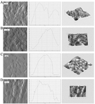 <p>Figure 1. AFM visualization of the surface ultrastructure of cell cultures after 24 <em>hr</em> of cultivation (Image obtained by the mismatch method; section profile; image obtained by the semi-contact method): A) intact cell culture- BHK-21; B) rabies virus infected cell culture-BHK-21; C) intact cell culture- Vero; D) -rabies virus infected cell culture- Vero.</p>