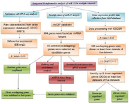 <p>Figure 1. The bioinformatics flowchart used in the current study. DEGs: differentially expressed genes, PPI: protein-protein interaction, GEO: gene expression omnibus.</p>