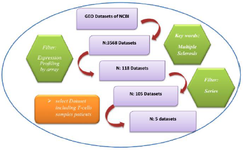 <p>Figure 2. Outline of the protocol used for the search of multiple sclerosis microarray datasets from the GEO database.</p>