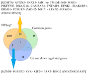 <p>Figure 5. Venn diagram represents the number of overlapping differentially expressed genes between significant genes (n=6332) of RNA-seq analysis, 44 common genes and 18 up- and down-regulated genes in multiple sclerosis disease. Validation of microarray result by RNA-seq showed 19 and 7 overlapping genes with common genes and up- and down-regulated genes, respectively.</p>