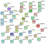 <p>Figure 6&shy;. Protein-protein interaction of 44 common differentially expressed genes (DEGs) identified in multiple sclerosis by STRING.</p>