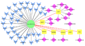 <p>Figure 7. miRNA-mRNA-drug interaction network constructed by Cytoscape; miR-21 regulates common DEGs and is related with genes affected by MS-associated drugs. Blue: common DEGs, Yellow: common DEGs affected by drugs, Pink: MS-associated drugs.</p>