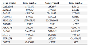 <p>Table S1. 44 genes were identified that overlapped as differentially expressed genes between the predicted target of miR-21 and microarray datasets</p>