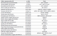 <p>Table S3. GO enrichment (Cellular component pathway) analyses of 44 common differentially expressed genes (DEGs) with p&lt;0.05</p>