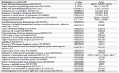 <p>Table S4. Biological process enrichment analyses of 44 common differentially expressed genes (DEGs) with p&lt;0.05</p>