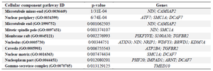 <p>Table 5. Ten top GO enrichment analyses of 44 common differentially expressed genes (DEGs) with p&lt;0.05</p>