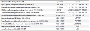 <p>Table 7. Ten top molecular functions enrichment analyses of 44 common differentially expressed genes (DEGs) with p&lt;0.05</p>