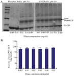 <p>Figure 7. SDS-PAGE analysis showing the formation of PEGylated GCSF in phosphate buffer (pH=7.4) and miliQ (pH=6.8) using different enzyme concentrations (A) and the quantification of mono-PEG-GCSF band intensity of samples in miliQ using ImageJ soft-ware (B). The reaction was performed at 25<em>&deg;</em><em>C</em> for 160 <em>min</em>. Data are shown as the mean&plusmn;SD of three independent experiments.</p>