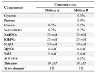 <p>Table 1. Components of fermentation media</p>
<p>* Trace elements (1X): 10 <em>&mu;M</em> FeCl<sub>3</sub>, 4 <em>&mu;M</em> CaCl<sub>2</sub>, 2 <em>&mu;M</em> ZnSO<sub>4</sub>, 2 <em>&mu;M</em> MnSO<sub>4</sub>, 0.4 <em>&mu;M</em> CoCl<sub>2</sub>, 0.4 <em>&mu;M</em> CuCl<sub>2</sub>, 0.4 <em>&mu;M</em> NiSO<sub>4</sub>, 0.4 <em>&mu;M</em> Na<sub>2</sub>MoO<sub>4</sub>, 0.4 <em>&mu;M</em> Na<sub>2</sub>SeO<sub>3</sub>, 0.4 <em>&mu;M</em> H<sub>3</sub>BO<sub>4</sub>.</p>