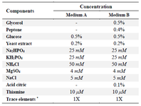 <p>Table 1. Components of fermentation media</p>
<p>* Trace elements (1X): 10 <em>&mu;M</em> FeCl<sub>3</sub>, 4 <em>&mu;M</em> CaCl<sub>2</sub>, 2 <em>&mu;M</em> ZnSO<sub>4</sub>, 2 <em>&mu;M</em> MnSO<sub>4</sub>, 0.4 <em>&mu;M</em> CoCl<sub>2</sub>, 0.4 <em>&mu;M</em> CuCl<sub>2</sub>, 0.4 <em>&mu;M</em> NiSO<sub>4</sub>, 0.4 <em>&mu;M</em> Na<sub>2</sub>MoO<sub>4</sub>, 0.4 <em>&mu;M</em> Na<sub>2</sub>SeO<sub>3</sub>, 0.4 <em>&mu;M</em> H<sub>3</sub>BO<sub>4</sub>.</p>