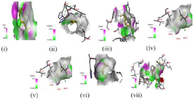 <p>Figure 2. 3D illustration of the molecular interactions of (i) caryophyllene oxide, (ii) cymene, (iii) eugenol, (iv) cis-ocimene, (v) terpinene, (vi) thymol, and (vi) indomethacin with lipoxygenase.</p>