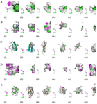 <p>Figure 4. 3D illustration of the molecular interactions of (i) caryophyllene oxide, (ii) cymene, (iii) eugenol, (iv) cis-ocimene, (v) terpinene, and (vi) thymol with, A) IL-1, B) IL-6, C) TNF-&alpha;, D) IL-8, and E) CCL-2.</p>