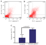 <p>Figure 4. The effect of MTDH shRNAs on the apoptosis of Jurkat cells, A) PE-Annexin V/7AAD staining was performed for determining the effect of MTDH mRNA silencing on the apoptosis of Jurkat cells, B) Transfected cells with scrambled shRNA plasmids were used as a negative control, C) Data analysis of apoptosis assay. The values were analyzed using the two-tailed unpaired t-test and are presented as mean&plusmn;SD from three independent experiments (p= 0.0127).</p>