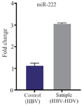 <p>Figure 2. The changes in rate of miR-222 expression in HBV infected patients and co-infected patients with HDV+HBV (Average repetitions as triplicate). The difference of fold change of the miR-222 expressions between two groups was 3.3 p&lt;0.001.</p>