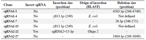 <p>Table 1. Summary of the spurious deletions and insertions following the cloning of sgRNA templates into the PX459 plasmid</p>