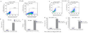 <p>Figure 1. Reactivity of anti-sortilin monoclonal antibody clone 2D8-E3 to breast cancer and normal cell lines using flow cytometry. Left panel: A) 2D8-E3 could react with sortilin in 71.8% of 4T1 and 85% of MDA-MB231 cells, compared to HFFF cell (2.1%) as a normal sample. The values for isotype controls in all three cell lines have also illustrated. Middle panel: B) The same results illustrated as bars for better visualization. Right panel: C) The average FITC intensities were calculated through multiplying the mean fluorescence intensity by percentage of positivity (MFI&times;POP).</p>