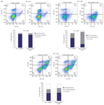 <p>Figure 3. A flow cytometric apoptosis assay was performed by anti-sortilin monoclonal antibody (2D8-E3) on breast cancer cell lines for 24, 48 and 72 <em>hr</em>. A) and B) The antibody could induce apoptosis (Early and late apoptosis) in 4T1 and MDA-MB231 cells after 48 <em>hr</em>. For better visualization of results a bar graph was drawn. The percentage of viable cells were 73.4 (24<em> hr</em>), 19.2 (48 <em>hr</em>) and 45.5 (72 <em>hr</em>) for 4T1 cells and 78 (24<em> hr</em>), 23.7 (48 <em>hr</em>) and 85.5 (72 <em>hr</em>) for MDA-MB231.</p>
<p>The viability of cells remains almost unchanged in both lines after 24, 48 and 72 <em>hr</em> of induction in HFFF cells as a normal cell line (C).</p>