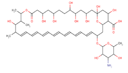 Figure 1. Structure of AmB