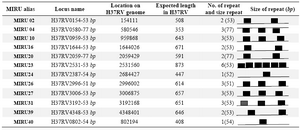 Table 2. MIRU locus information for M. tuberculosis H37RV
MIRU-VNTR: Mycobacterial Interspersed Repetitive Unit Variable Number Tandem Repeat
