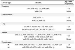 Table 3. miRNAs in cancer (9)