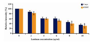 Figure 7. Effect of lentinan on hTERT and C-myc gene expression