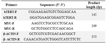 Table 1. List of primers