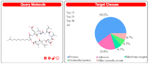 <p>Figure 3. Swiss Target prediction query structure for Surfactin and prediction report with percentage affinity with class of target protein.</p>