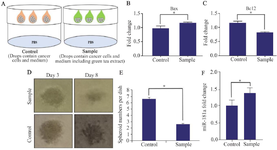 <p>Figure 2. A) Schematic model of spheroid formation using hanging drop technique. B, C) Relative fold-changes in gene expression levels of Bax and BCL2 in LNCaP cells after treatment with green tea (five days) were shown. Data represent mean&plusmn;SD of three independent experiments. *p&lt;0.05 was considered statistically significant. D, E) Medium containing green tea inhibits size and number of spheroids (magnification: 20x, scale bar: 100 <em>&mu;</em><em>m</em>; three independent experiments were done. * p&lt;0.05 was considered statistically significant). F) Relative fold-changes in gene expression levels of miR-181a in LNCaP cells during treatment with green tea were shown. Data represent mean&plusmn;SD of three independent experiments. *p&lt;0.05 was considered statistically significant.</p>