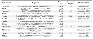 Table 1. List of used primers and PCR conditions