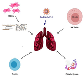 <p>Figure 1.&nbsp;Schematic representation of cell-based therapeutic appro-aches against covid-19.</p>
