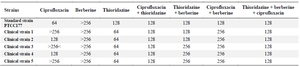 <p>Table 2. The MIC (<em>&mu;g/ml</em>) of ciprofloxacin, berberine, thioridazine on clinical and standard strain of <em>A. baumanii</em> isolates</p>
