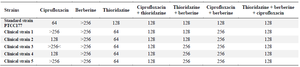 <p>Table 2. The MIC (<em>&mu;g/ml</em>) of ciprofloxacin, berberine, thioridazine on clinical and standard strain of <em>A. baumanii</em> isolates</p>
