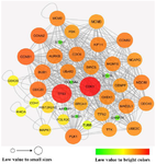 <p>Figure 2. Protein-protein interaction network. The sub-network constructed by Cytoscape software encompasses 10% of hubs and bottlenecks. The nodes' size and color are based on their degree value, and Nodes with dark color (red) have the highest degree.</p>
