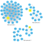 <p>Figure 3. The PPI sub-networks based on highly connected-regions. Sub-networks 1, 2, and 3 were selected based on Score&gt;3 and nodes&gt; 10. Yellow rectangles represent seed nodes.</p>
