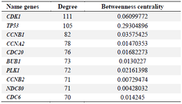 <p>Table 1. Hub genes related to the breast cancer-doxorubicin network obtained from Cytoscape software</p>
