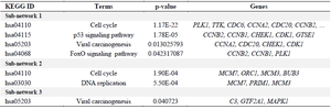 <p>Table 3. KEGG pathway analysis of sub-networks.</p>