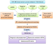 <p>Figure 1. The workflow of the current study. This figure is a graphical overview of datasets, software and bioinformatic analysis that was exploited to investigate miR-802 target genes.</p>
