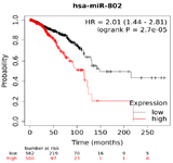 <p>Figure 2. Overall Survival (OS) of miR-802 based on TCGA miRNA in breast cancer.</p>
