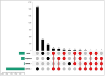 <p>Figure 3B. Upset Plot displayed Overlapped target genes between four databases which were 247 genes in total and are marked in red.</p>
