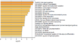 <p>Figure 4. Bar chart of enriched terms resulted from gene ontology analysis.</p>
