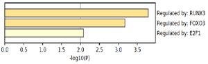 <p>Figure 5. predicted transcription factors that regulate miR-802 target gene network.</p>
